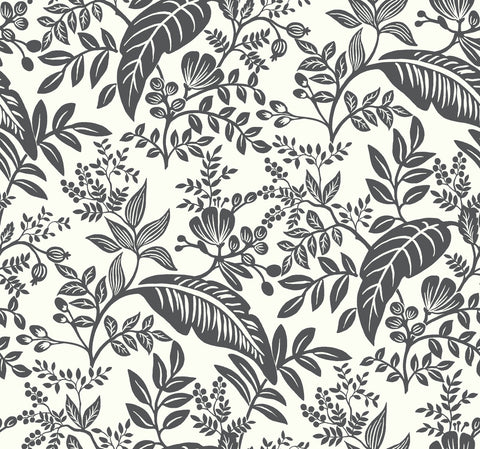 RI5136 Black/White Canopy Wallpaper