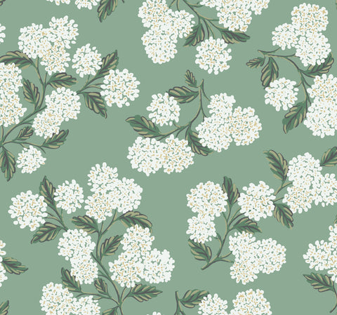 RI5145 Jade Hydrangea Wallpaper