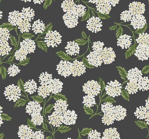 RI5146 Black/White Hydrangea Wallpaper