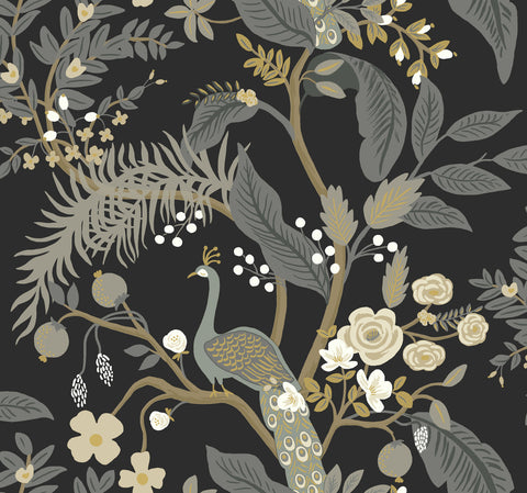 RI5170 Black Peacock Wallpaper