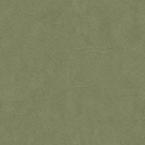Rogue II RU940 Eucalyptus Fabric
