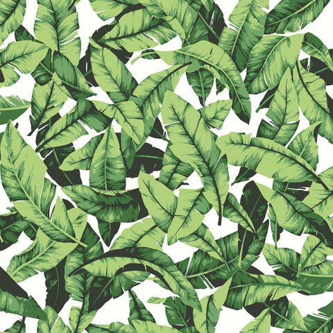 RMK11045WP Tropical Palm Leaf Peel and Stick Wallpaper