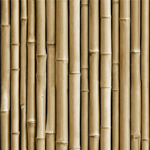 RMK11434WP Bamboo Look Peel And Stick York Wallpaper