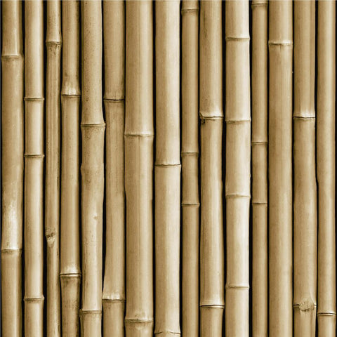 RMK11434WP Bamboo Look Peel And Stick York Wallpaper
