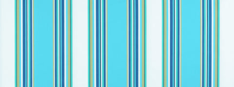 Hemingway 542 Caribe Covington Outdoor Fabric