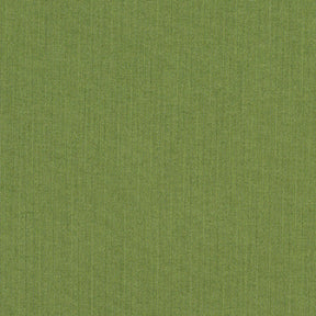 Sunbr Furn Spectrum 48022-0000 Cilantro Fabric