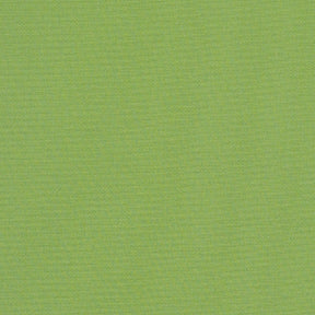 Sunbr Furn Solid Canvas 54011 Gingko Fabric