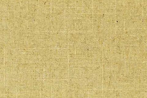Old Country Linen Canyon Swavelle Mill Creek Fabric