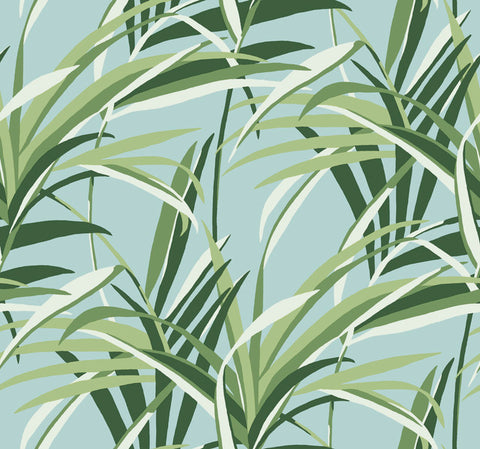 TC2603 Green Light Blue Tropical Paradise Wallpaper