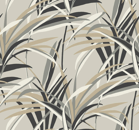TC2604 Taupe Tropical Paradise Wallpaper