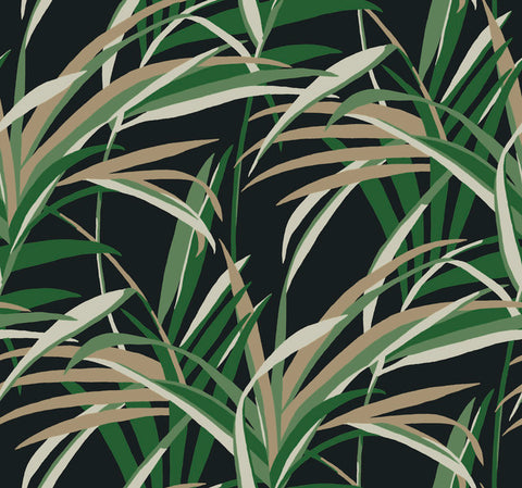 TC2606 Green Black Tropical Paradise Wallpaper