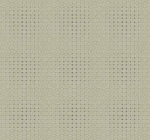TC2613 Green Paradise Island Weave Wallpaper