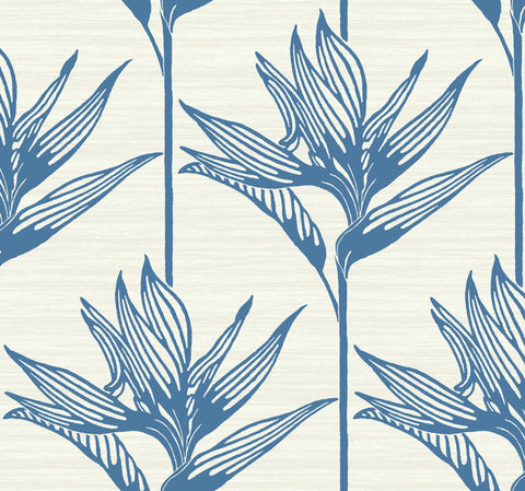 TC2671 Blue Bird Of Paradise Wallpaper