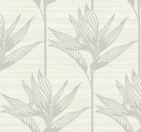 TC2673 Gray Bird Of Paradise Wallpaper