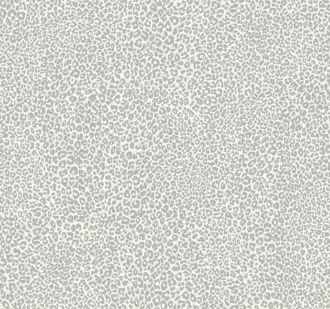TC2683 Gray Leopard King Wallpaper