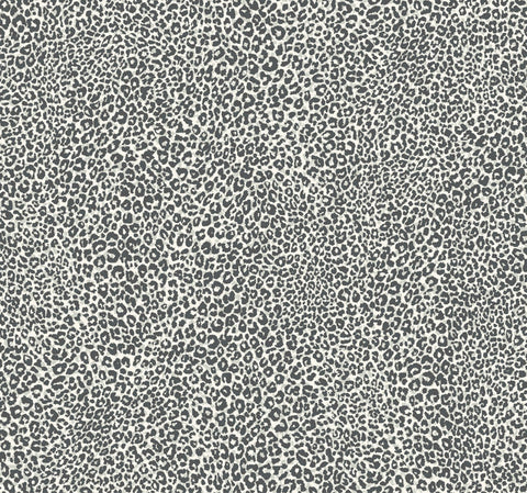 TC2686 Charcoal Leopard King Wallpaper
