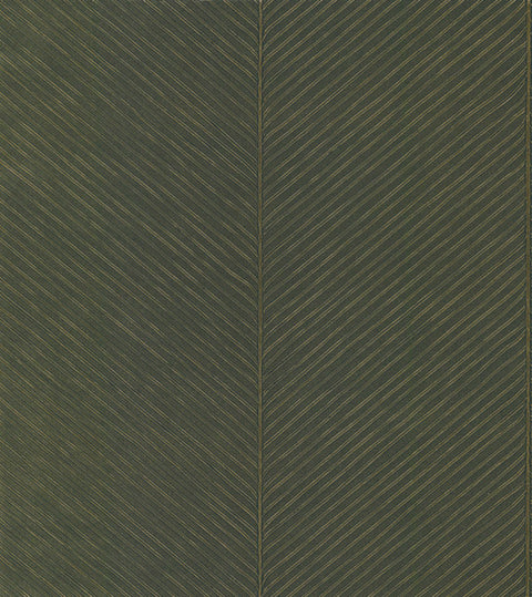 TC2693 Green Gold Palm Chevron Wallpaper