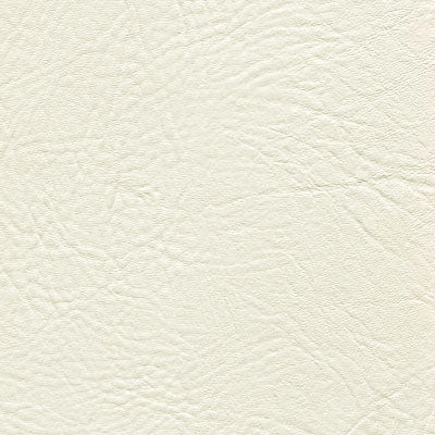 Tradewinds 6602 Arctic Forest Fabric