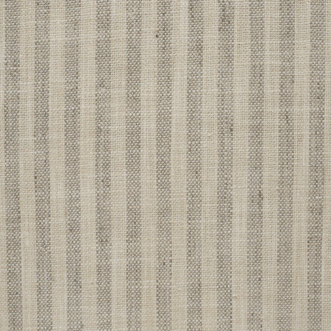 Swift Moonstone P Kaufmann Fabric