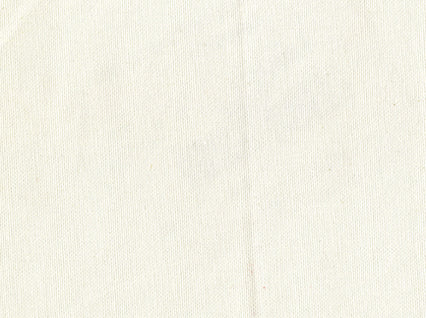 Kanvastex White Covington Fabric