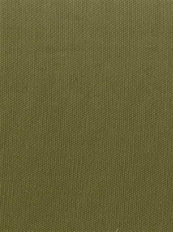 Pebbletex Sage Green Covington Fabric