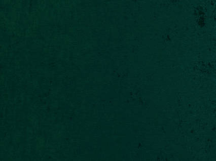 Saxony 207 Evergreen Covington Fabric