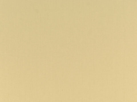 Spinnaker Canvas Covington Fabric