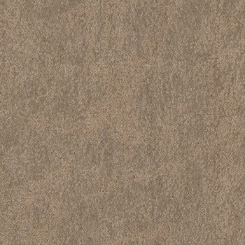 Palance Silt Culp Fabric