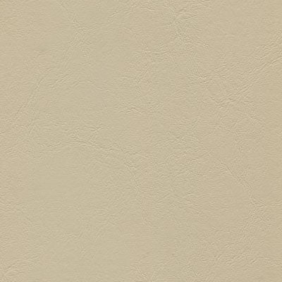 Windsong 754 Baja Tan Fabric