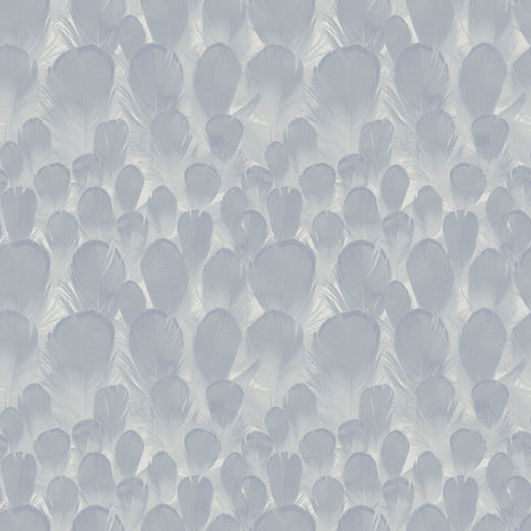 Y6230103 Feathers Wallpaper