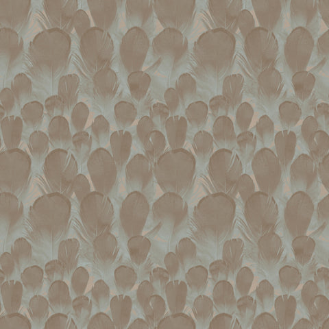 Y6230104 Feathers Wallpaper