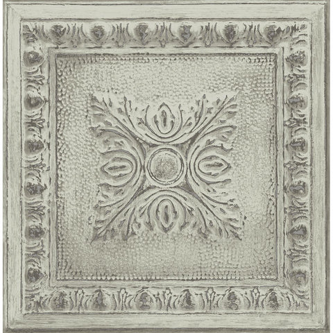 Tin Ceiling (336)