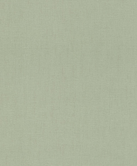 4202-484588 Naim Sage Solid Texture Wallpaper