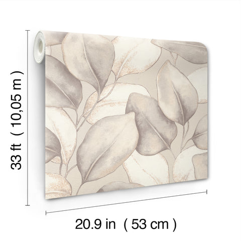 4202-659856 Evanthe Grey Vine Wallpaper