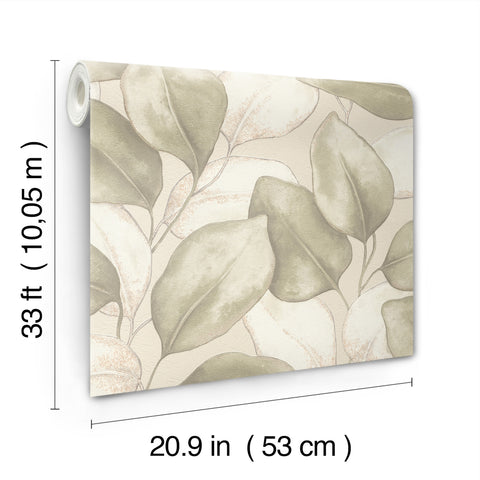 4202-659870 Evanthe Sage Vine Wallpaper