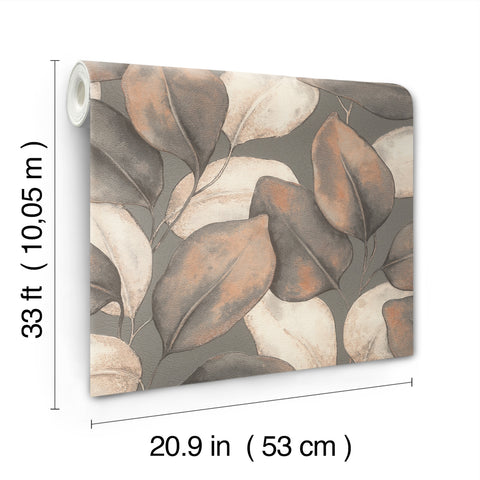 4202-659887 Evanthe Charcoal Vine Wallpaper