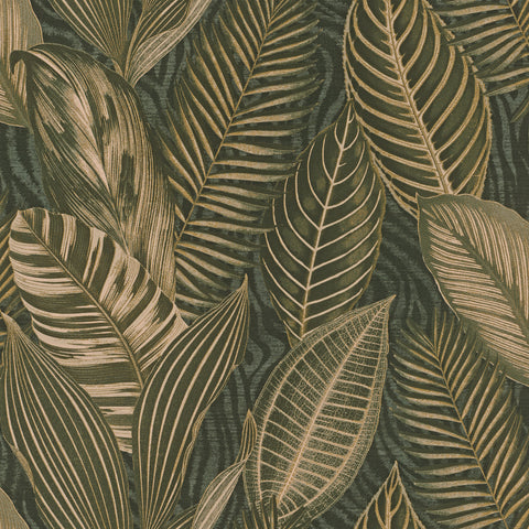 4202-751826 Acacius Dark Green Tropical Foliage Wallpaper