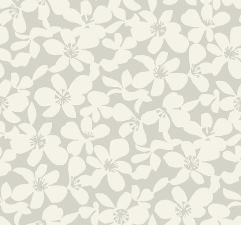 BO6682 Gray Free Spirit Wallpaper