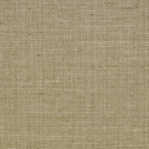 Delling  Ginko Richloom Fabric