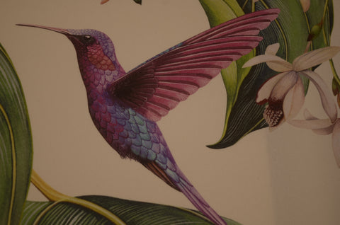 Summerhouse Trailing Orchid Osborne & Little Fabric