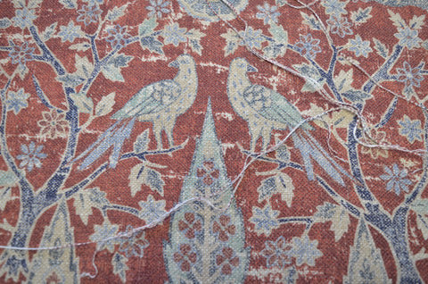 Wanderer Indienne P/K Lifestyles Fabric