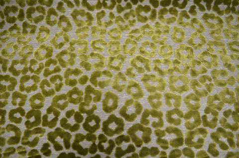 Fat Cat Lime Swavelle Mill Creek Fabric