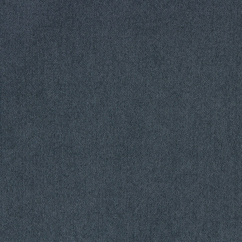 Favorite Denim Richloom Fabric