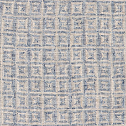 Fulfilled Denim  Swavelle Mill Creek Fabric