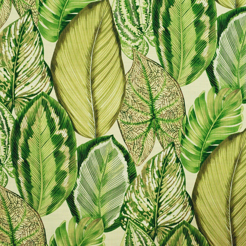 Isla Verde Dill P/Kaufmann Fabric