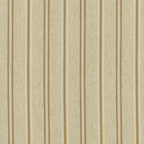 Jodhpur Stripe Saffron  P/K Lifestyles Fabric