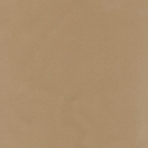 Map Putty Regal Fabric