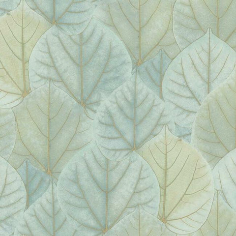 OS4241 Turquoise Leaf Concerto Wallpaper