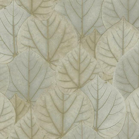OS4243 Taupe Leaf Concerto Wallpaper
