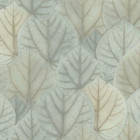 OS4244 Blue Taupe Leaf Concerto Wallpaper